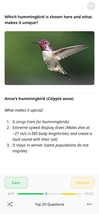 Tamino study session screen with a visual question and answer controls